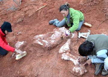 El hallazgo de un fósil en Argentina adelanta en 30 millones de años el origen del gigantismo