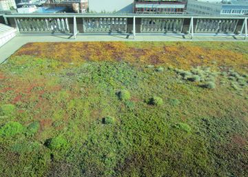 “Nuestros sistemas de gestión de las ciudades no son flexibles a nuevas ideas”