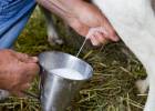 El Gobierno regulará la venta directa de leche cruda