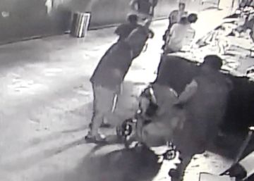 Un acuario de EE UU recupera una cría de tiburón robada y camuflada en un carrito de bebé