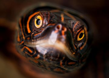 Las imágenes del día, 06/08/2018