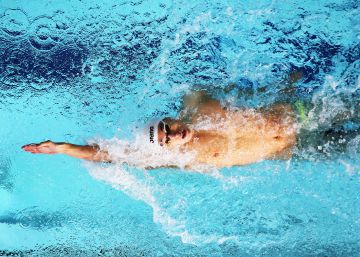 Las imágenes del día, 07/08/2018