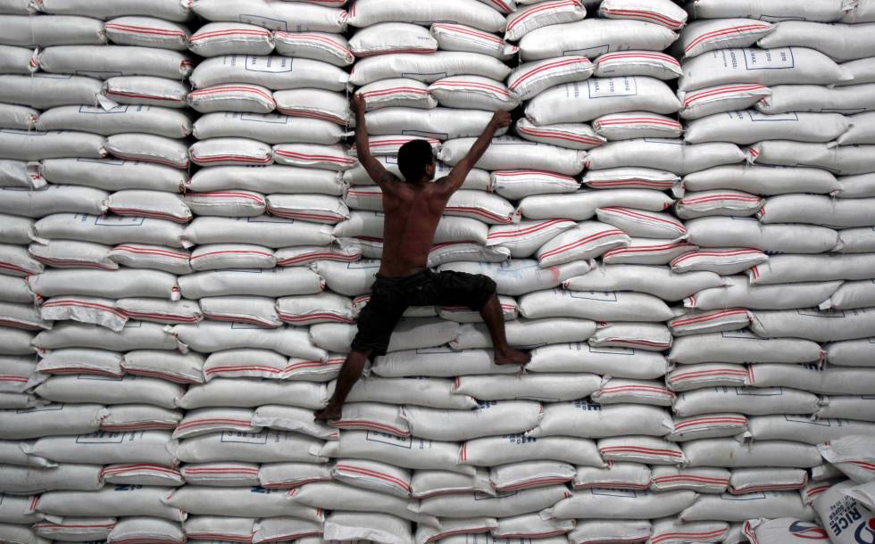 Un hombre trepa por unos sacos de arroz en un almacÃ©n gubernamental de Filipinas.