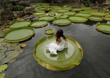 Las imágenes del día, 16/08/2018
