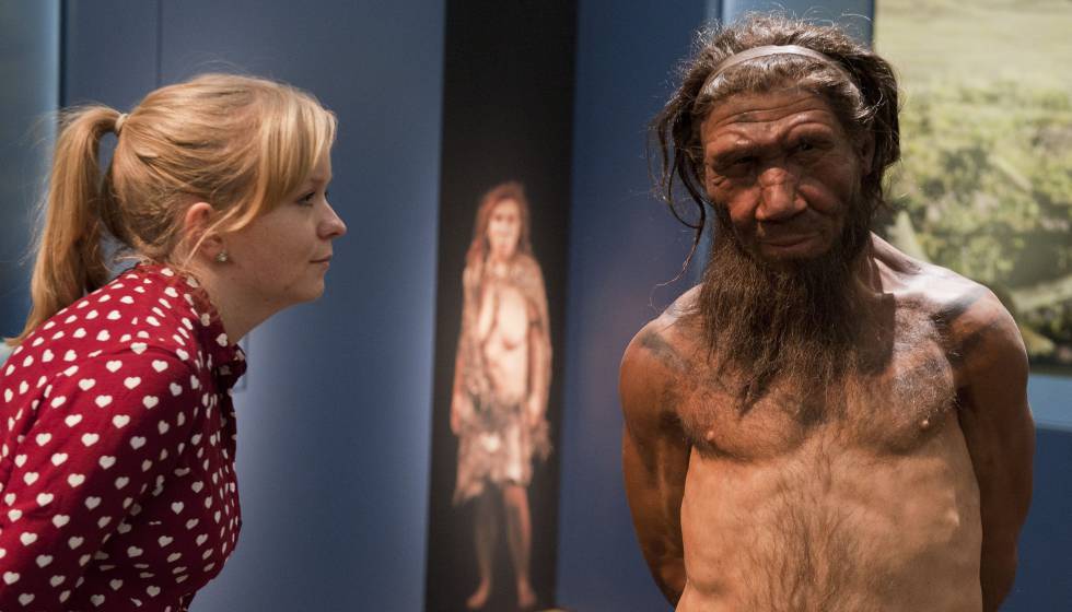 Uma mulher observa uma reprodução de um neandertal em uma exposição sobre essa espécie em Londres.