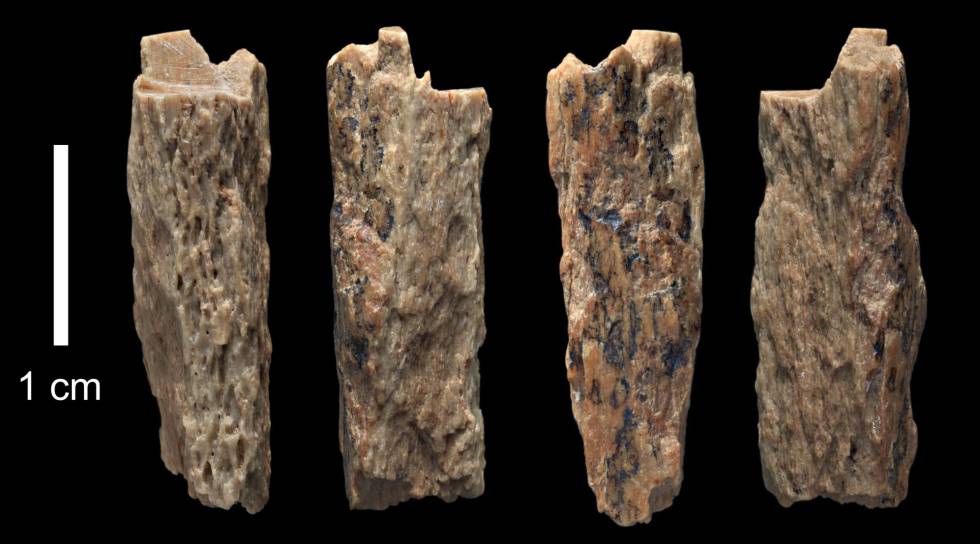 Fragmentos de hueso de la mujer denisoviana híbrida.