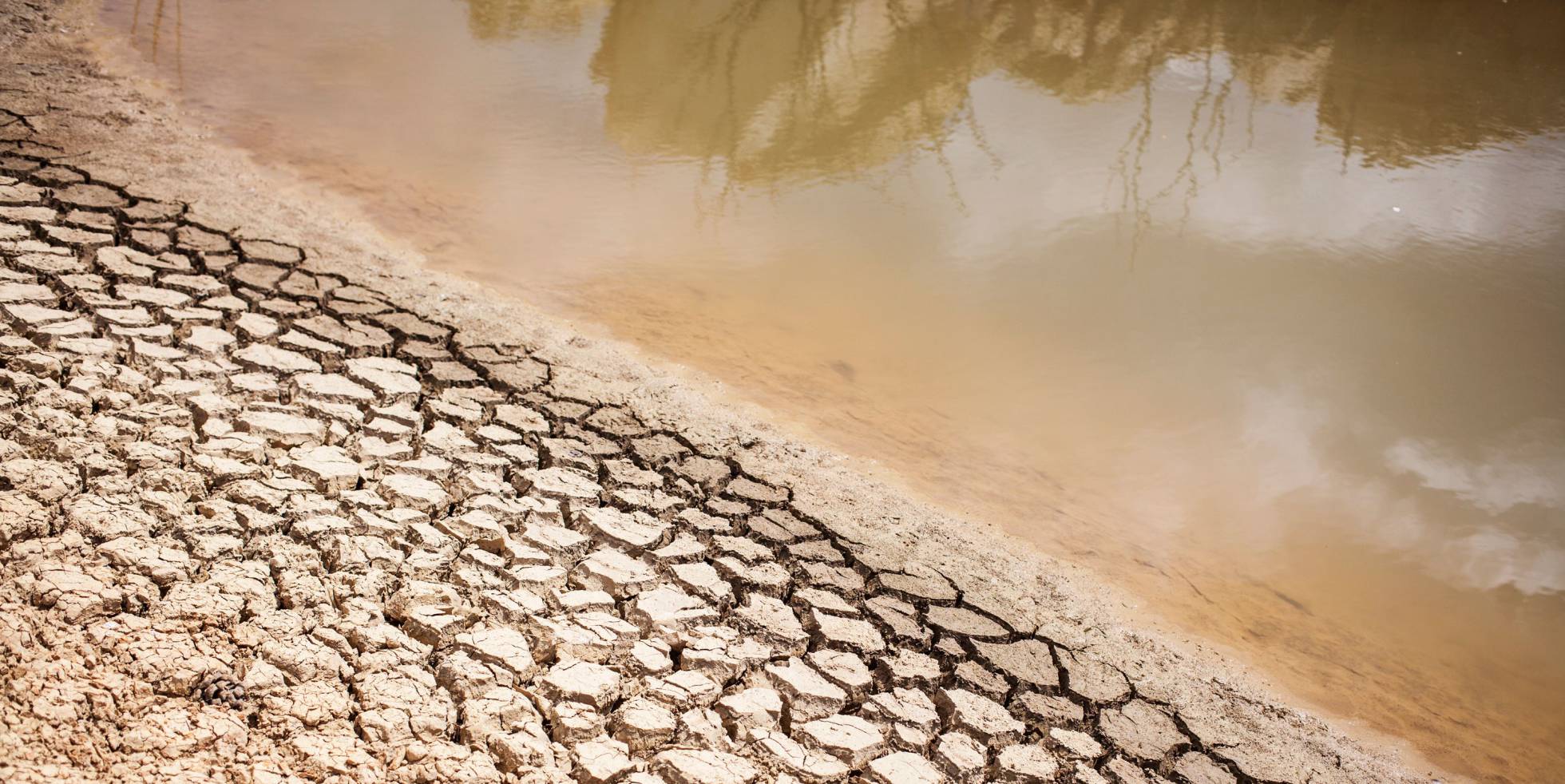 Resultado de imagen para La cara opuesta del agua