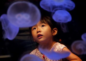 Las imágenes del día, 28/08/2018