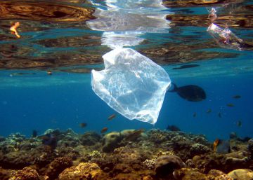 Kenia y su lucha contra las bolsas de plástico
