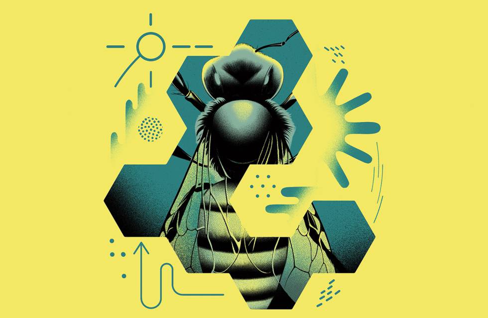 Las abejas y la guerra fría