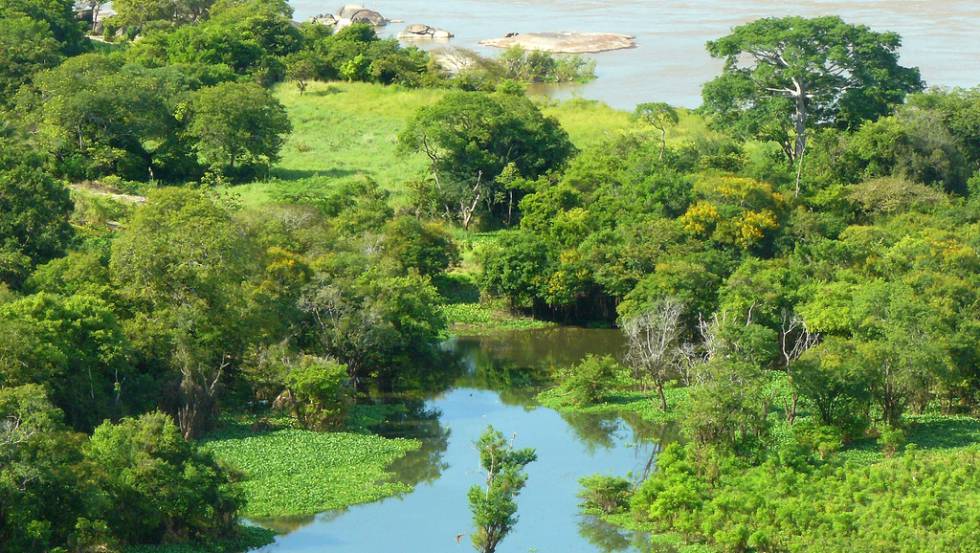 El Orinoco a su paso por Venezuela.