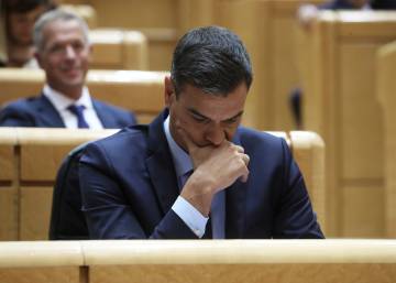 Pedro Sánchez: “Tu decisión, valiente, te honra”