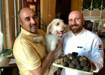 Javier Trufero y el laberinto de las trufas negras