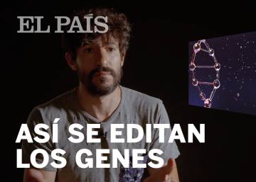 CRISPR: ¿Cómo funciona la edición genética?