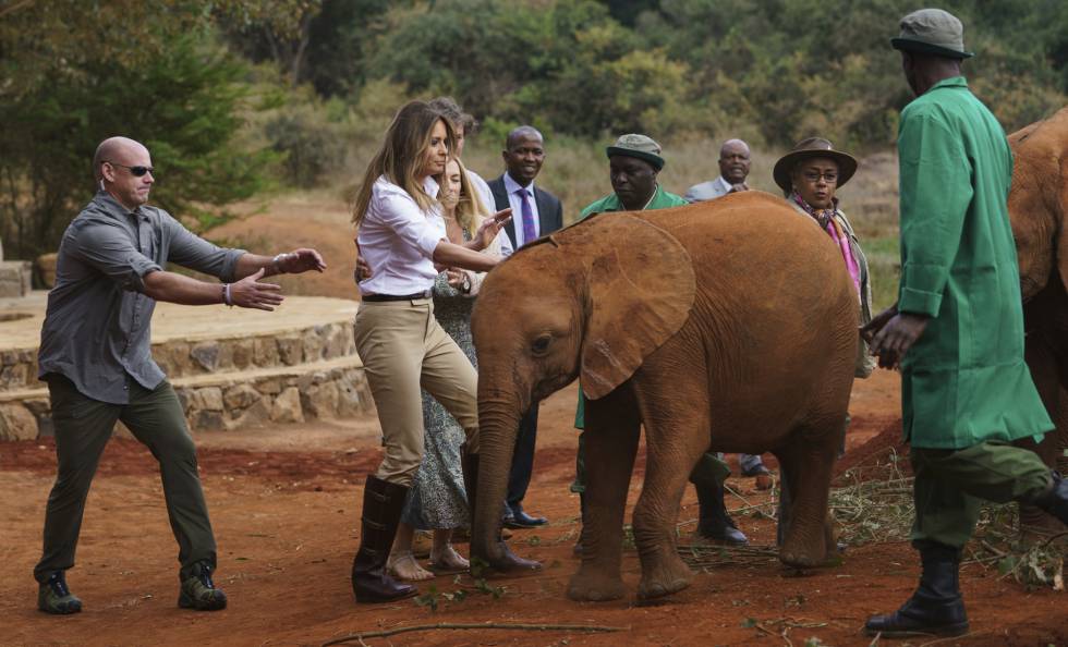 Melania Trump acaricia a un bebÃ© elefante este viernes en el Parque Nacional de Nairobi (Kenia).