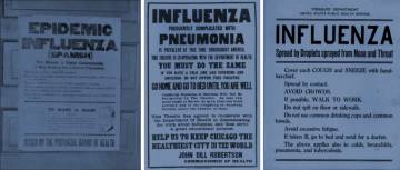 Cómo la gripe aviar dio forma a la Gran Guerra