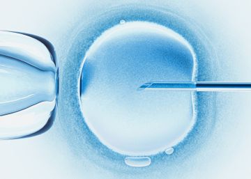 La metamorfosis reproductiva