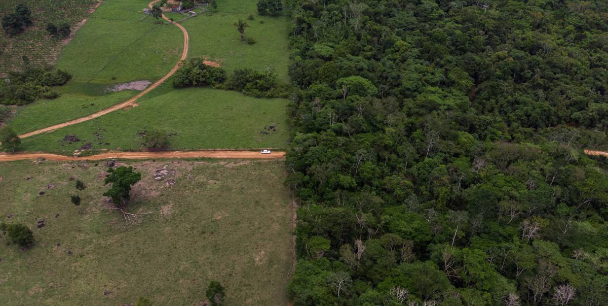 Área fronteriza de la reserva indígena Siete de Septiembre, en Cacoal (Brasil), el pasado agosto.