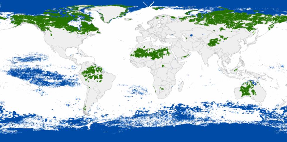 El futuro del 70% de los espacios vírgenes del planeta depende de cinco países