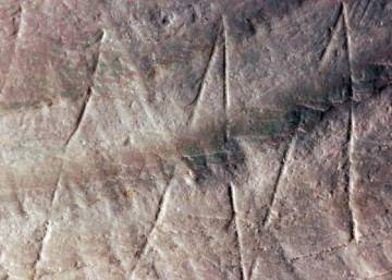 El dibujo más antiguo de la humanidad