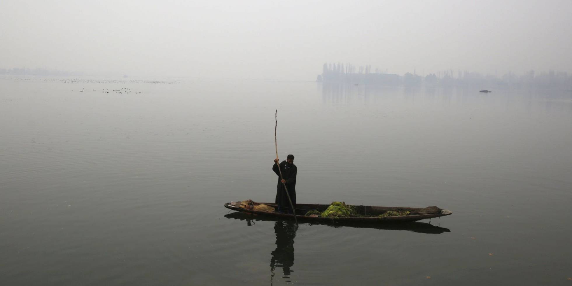 Un hombre extrae algas desde su barca en el lago Dal de Srinagar.