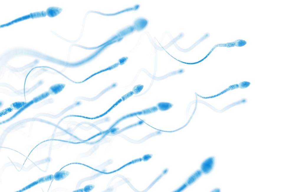 Seis rumores sobre el semen revisados por expertos en fertilidad