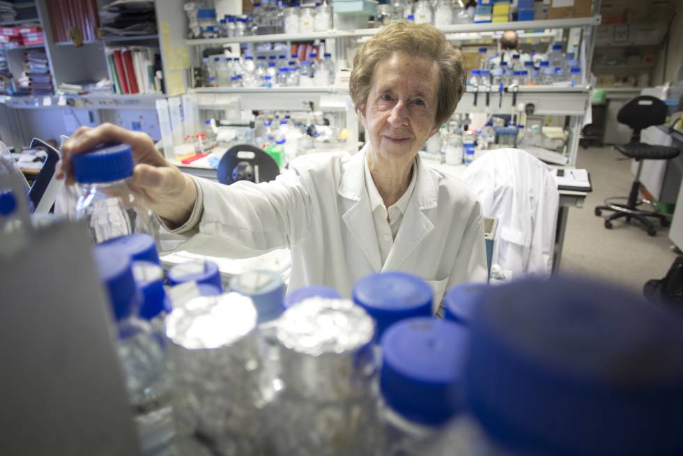La científica Margarita Salas, en el Centro de Biología Molecular Severo Ochoa, en 2015.
