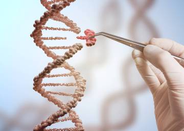 La técnica estrella de edición genética puede incrementar el riesgo de cáncer