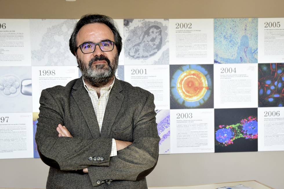 El biólogo Lluís Montoliu, del Centro Nacional de Biotecnología, en Madrid.