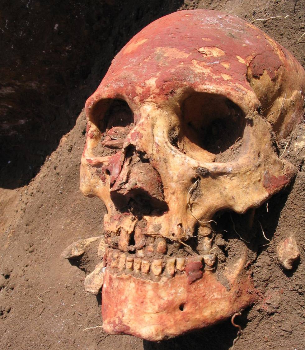 Crânio retirado de tumba da cultura yamnaya, pintado de ocre vermelho.