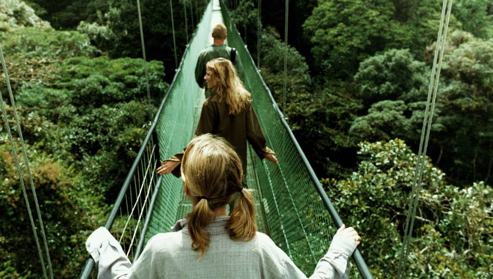 Bosque Nuboso de Monteverde, una reserva biolÃ³gica de Costa Rica. 