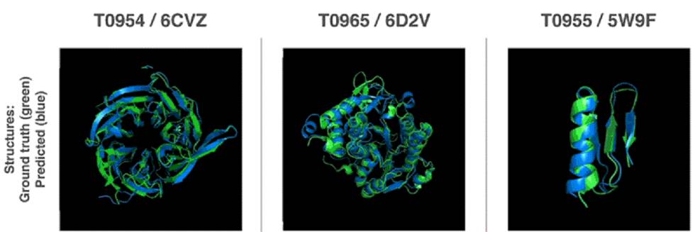 Ilustración de la forma 3D de proteínas del concurso. En verde, la estructura real de las moléculas, en azul, la estructura que predijo el algoritmo AlphaFold.
