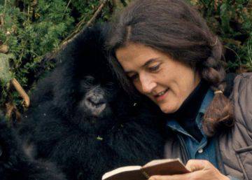 Las mujeres que hallaron al ser humano mirando a los ojos de otros simios