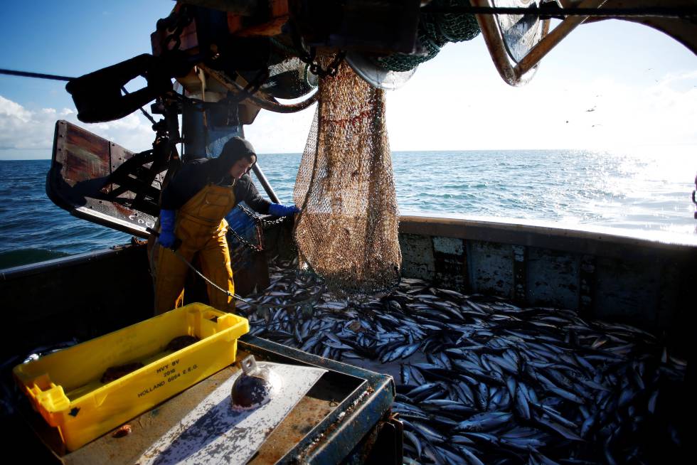 Resultado de imagen para barcos pescando