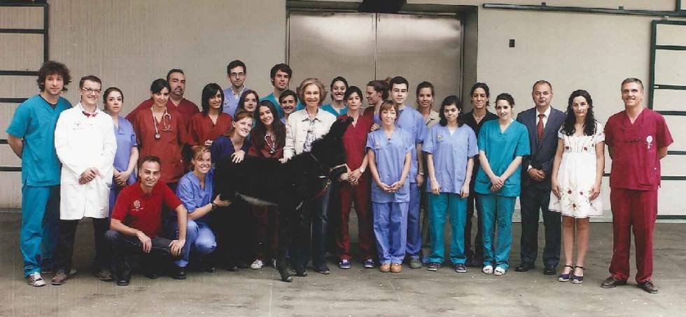 La reina Sofía con su burro en la Facultad de Veterinaria de la Complutense.