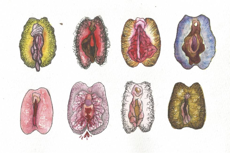 Sexo Por La Vajina - AnatomÃ­a de una intimidad confusa: cuando una vagina normal se ...