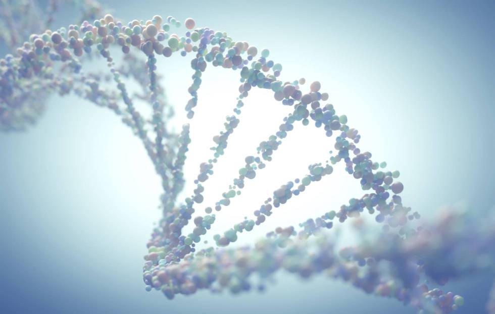 ¿Qué son los algoritmos genéticos?