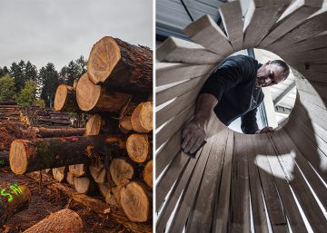 El vino y el roble, una eterna historia de amor