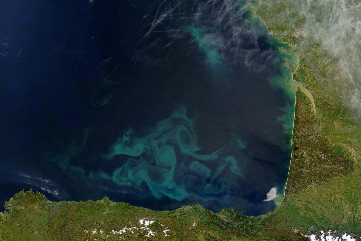 Explosión de algas microscópicas en el golfo de Vizcaya.