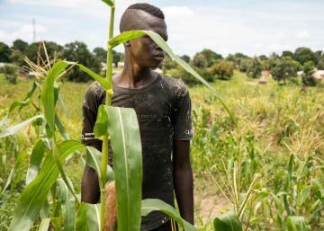 Matar o ser asesinado