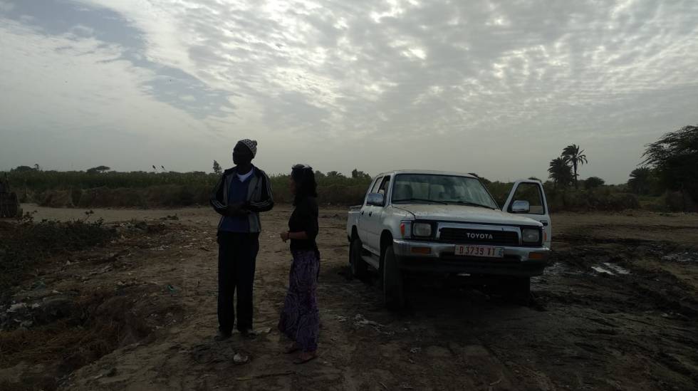 Saint Louis por sorpresa