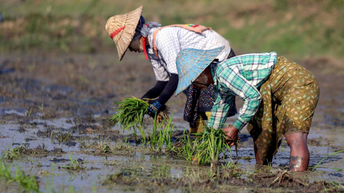 La pérdida de biodiversidad amenaza la variedad de alimentos que conocemos