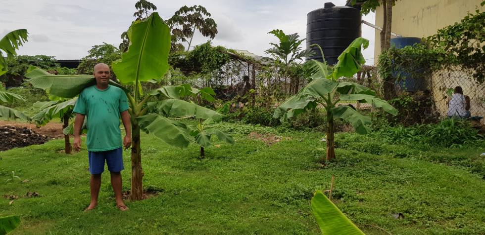 José, el primer preso que plantó un árbol de plátanos en la cárcel de La Joyita.