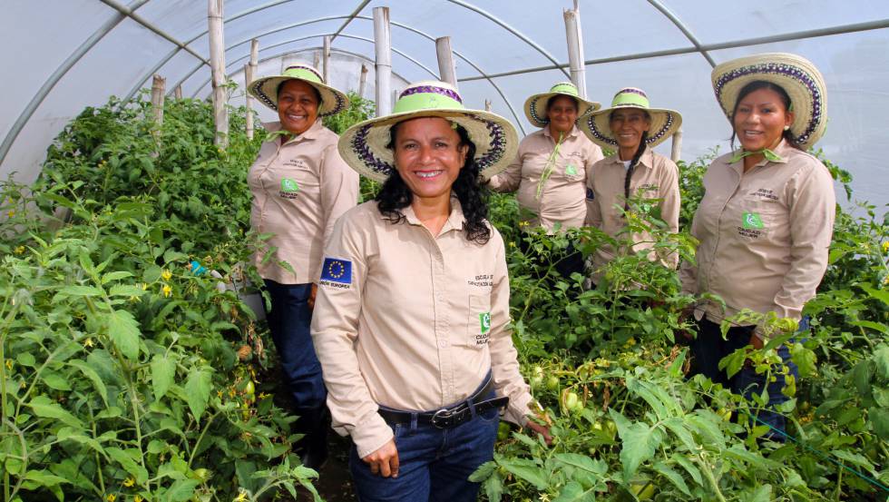 Participación laboral femenina en América Latina: más y mejor es posible | Planeta Futuro | EL PAÍS