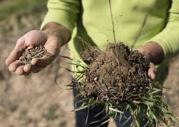 La tarea titánica de agricultores y emprendedores de Almería, Granada y Murcia, en imágenes