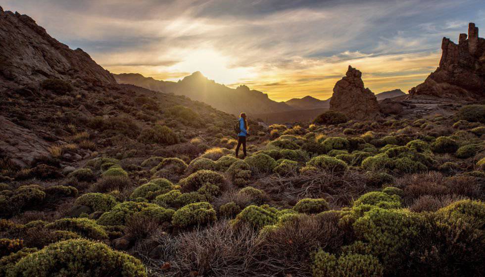 Cañadas del Teide, una de las muestras de ecosistema volcánico más espectaculares del planeta. 