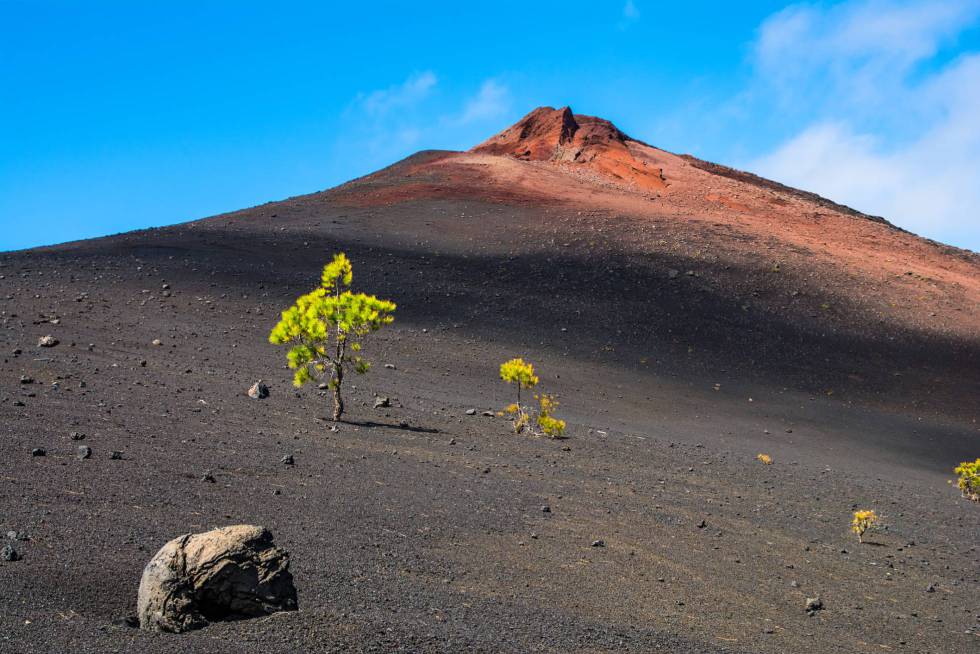 Volcán de las Arenas Negras.