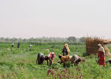 El desierto y el hambre avanzan en el Sahel El desierto y el hambre avanzan en el Sahel