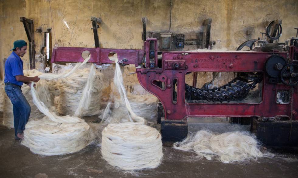 MÃ¡quina de peinado de sisal de la hacienda AkÃ©, en funcionamiento desde hace mÃ¡s de un siglo.