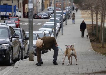 ADN canino para cazar a vecinos incívicos